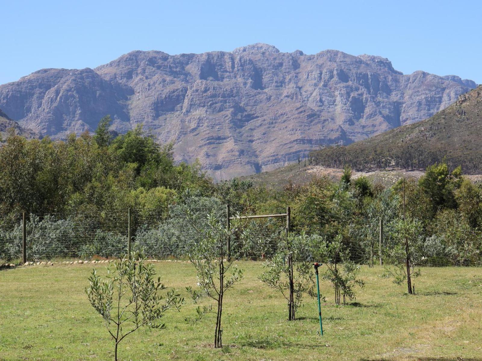 La Ferme Guest Farm - Hot Tubs Villa Franschhoek Kültér fotó