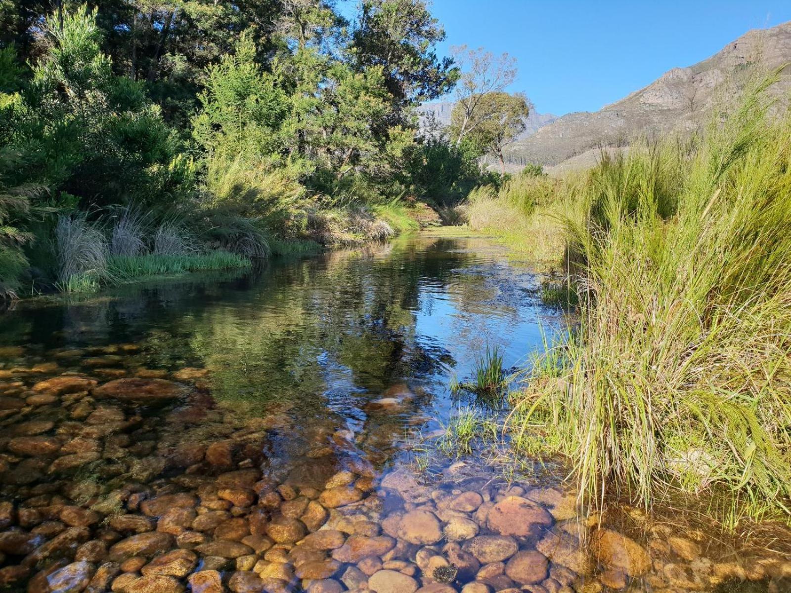 La Ferme Guest Farm - Hot Tubs Villa Franschhoek Kültér fotó