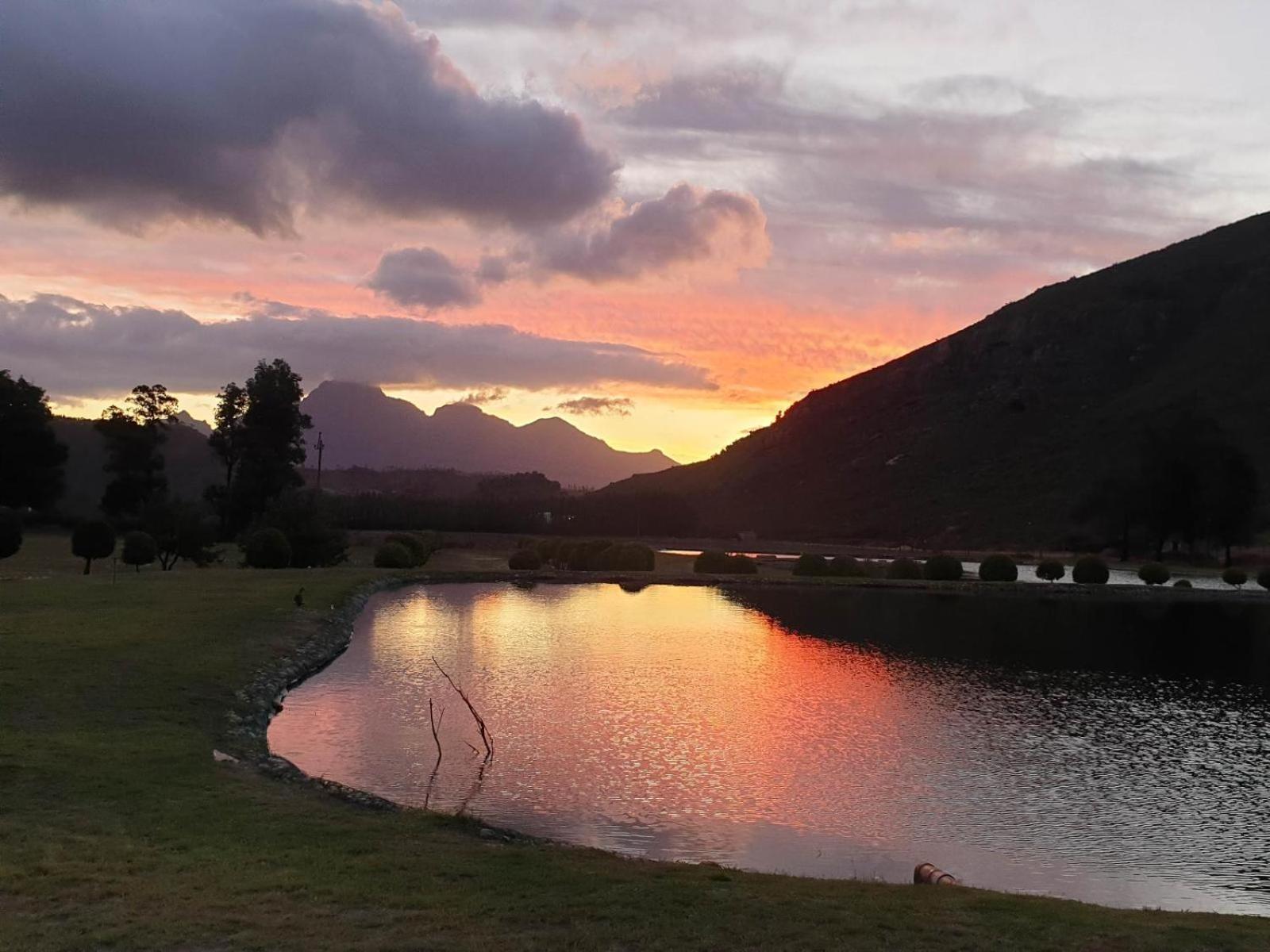 La Ferme Guest Farm - Hot Tubs Villa Franschhoek Kültér fotó