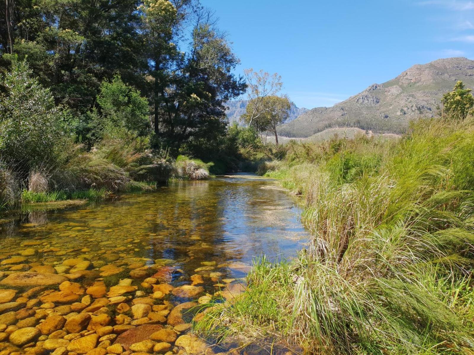 La Ferme Guest Farm - Hot Tubs Villa Franschhoek Kültér fotó