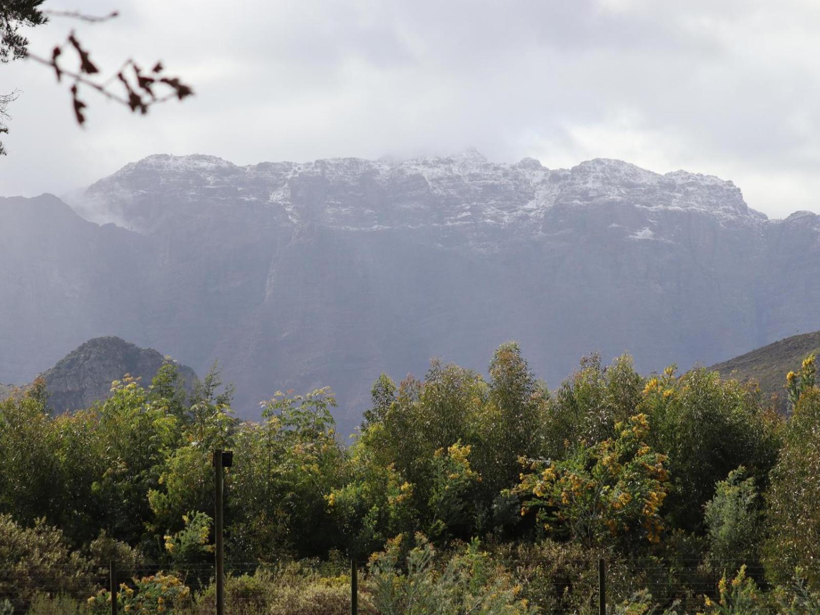 La Ferme Guest Farm - Hot Tubs Villa Franschhoek Kültér fotó