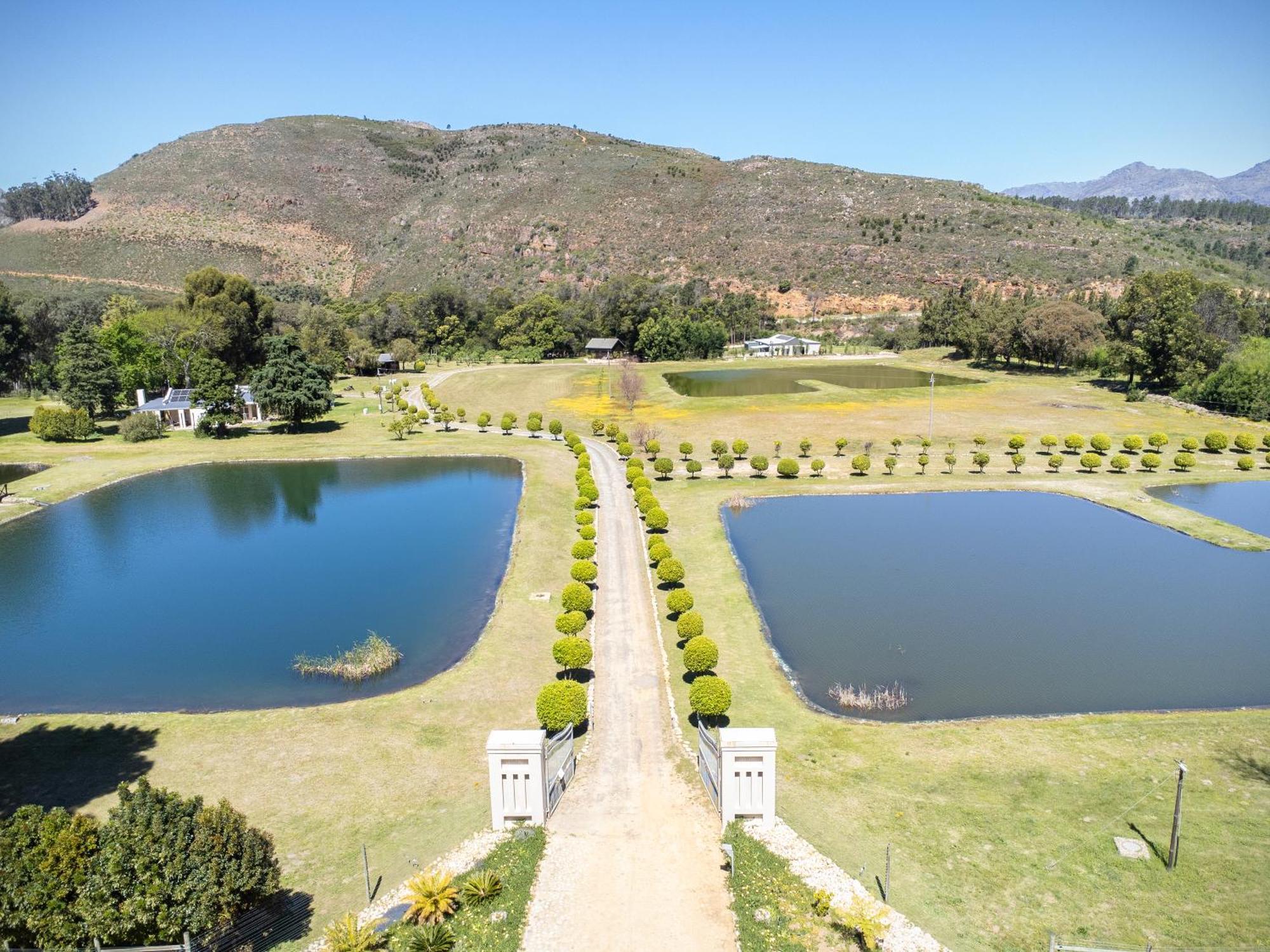 La Ferme Guest Farm - Hot Tubs Villa Franschhoek Kültér fotó